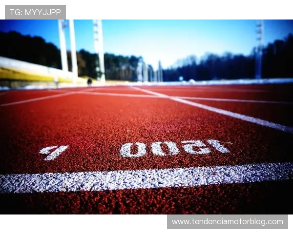 千赢体育用户评价与反馈汇总了解真实用户体验助你选择最优体育娱乐平台